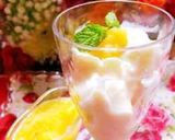 簡単フローズンヨーグルト作り方15写真