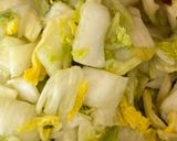 アメリカでキムチ(ヴィーガン用も)作り方3写真