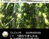 大根葉の冷凍(おにぎり用)作り方5写真