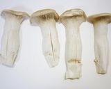 エーリアンギのミイラ？作り方2写真