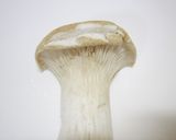 エーリアンギのミイラ？作り方6写真