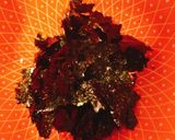 海苔たぬき蕎麦作り方2写真