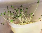 ストウブ鍋でロコモコ丼作り方7写真