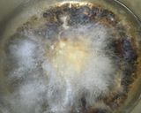 基本の海老グラタン作り方1写真