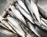 簡単オイルサーディン作り方1写真