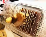 シャア専用赤い生姜焼き　生姜ざんまい作り方15写真