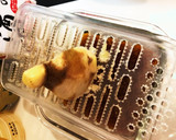 シャア専用赤い生姜焼き　生姜ざんまい作り方15写真