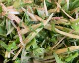 おいしかった薬味サラダ作り方4写真