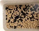 ヨーグルトメーカーで自家製納豆作り方1写真
