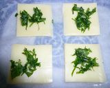レンジで簡単！チーズせんべい作り方1写真