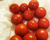 プチトマト長持ち作り方3写真