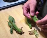 冷めてもザクザク食感 タラの芽かき揚げ作り方1写真