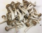 冷やし煮物作り方6写真