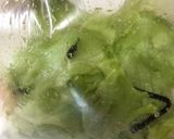 レタスシャキシャキサラダ作り方3写真