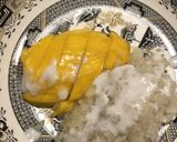 Best　マンゴーココナッツライス　１作り方7写真