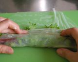 簡単★まぐろとアボカドの生春巻き作り方6写真