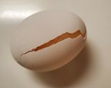冷凍たまご作り方1写真