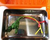 スイスチャードのサバ缶ロールトマト煮込み作り方12写真