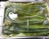 わらびの下処理(アク抜き)作り方5写真
