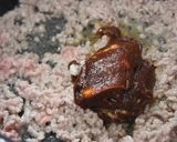 ちょい辛じゃじゃ麺作り方3写真