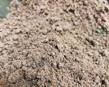 簡単☆ノンバター☆可愛いコーヒークッキー作り方5写真