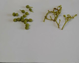 山椒の佃煮♪めっけ作り方1写真