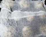 ミックスナッツのプチパン作り方23写真