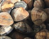 お鍋で炊く　バスク風アサリごはん作り方1写真