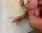 元魚屋が教える！ボイルホタル烏賊の処理作り方4写真