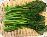 小松菜のしゃきしゃき海苔和え作り方4写真