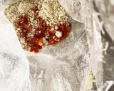 サクサク絶品♡チーズバジルクラッカー作り方6写真