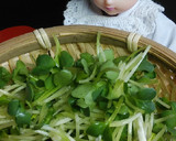 リカちゃん♡かいわれととろ昆布和え作り方1写真