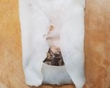 皮から作る！ベトナムのぷるぷる蒸し春巻き作り方12写真