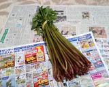 無限に食える　ミズのガッコ作り方1写真