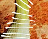 コールスロー風　野菜炒め～白滝でかさ増作り方2写真