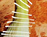 コールスロー風　野菜炒め～白滝でかさ増作り方2写真