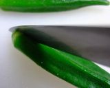 おくらのおひたし作り方10写真
