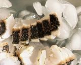 【基本】メジナ(グレ)の捌き方お刺身まで作り方11写真