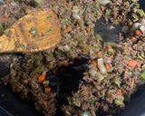 鹿キーマカレー作り方9写真