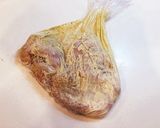 バッター液不要！ササミの柔らかフライ作り方6写真
