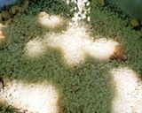 キャンプメシ＊パエリア作り方4写真