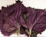 夏にすっきり! 赤紫蘇シロップ作り方1写真