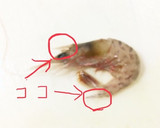 空豆と新玉ねぎと小エビのかき揚げ作り方1写真