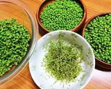 キレイな色になる!実山椒の下ごしらえ作り方1写真