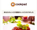 トマトジュースde煮込みハンバーグ作り方10写真