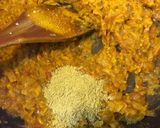 所JAPAN☆簡単本格カレー3種スパイス作り方5写真
