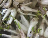 10％のあら塩で簡単らっきょうの塩漬け作り方1写真
