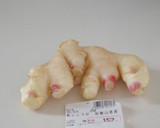 新生姜を楽しむための豚の生姜焼作り方6写真