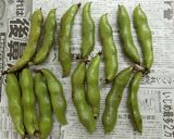 自家製★乾燥そら豆作り方1写真