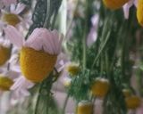 カモミールの保存方法作り方4写真